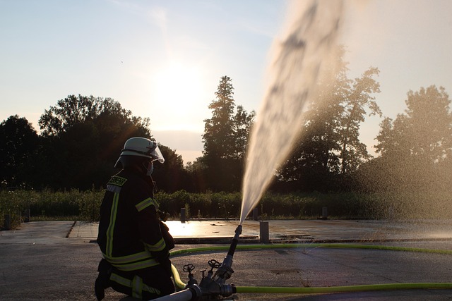 Free Man Firefighter photo and picture
