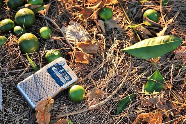 Free Radio Orchard photo and picture