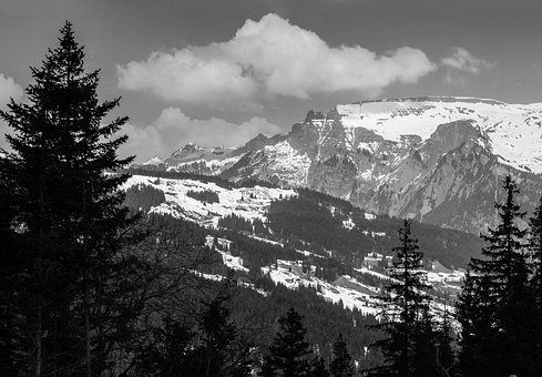Free Switzerland Grindelwald photo and picture