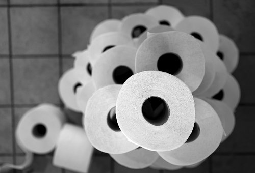 40+ Free Toilet Roll & Toilet Paper Photos - Pixabay