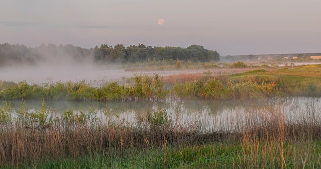 Free Lake Moon photo and picture