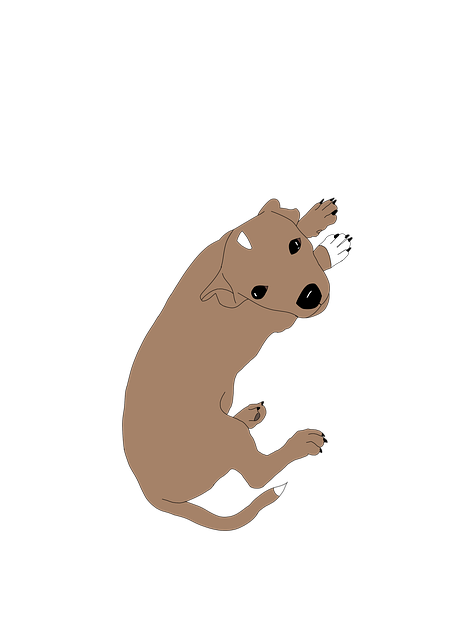 Free Puppy Dog illustration and picture