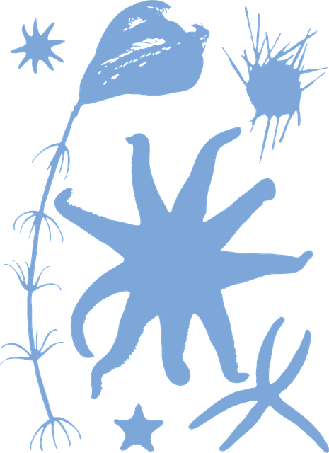 Free echinodermata sea star silhouette illustration