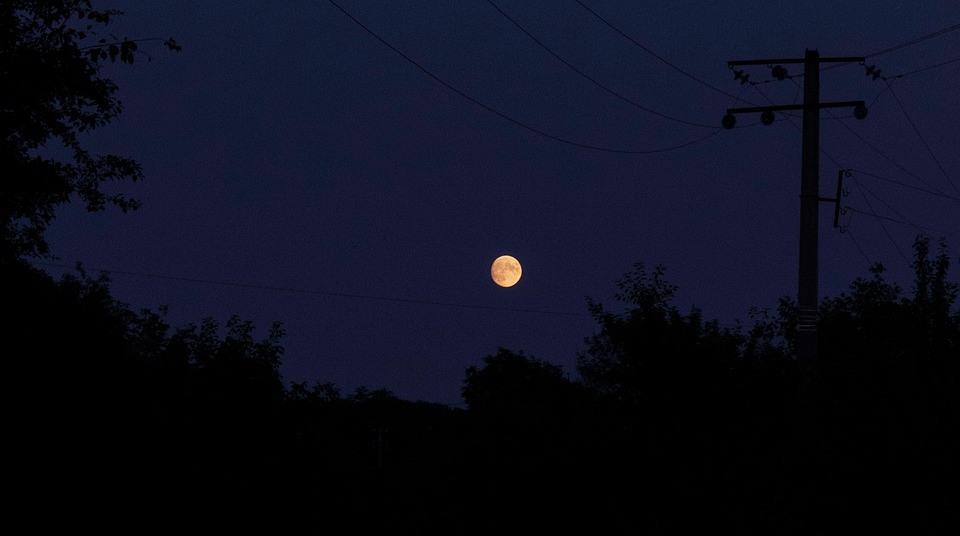 夜 月 月光 - Pixabayの無料写真 - Pixabay