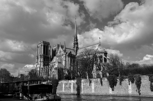 Free Our Lady Paris photo and picture