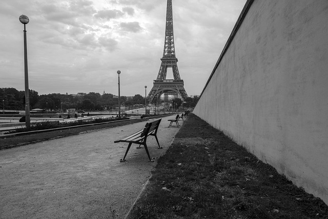 Free Paris Eiffel Tower photo and picture