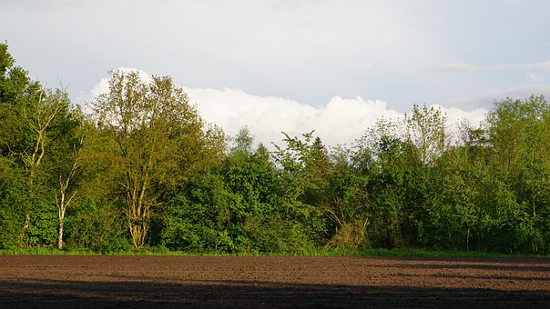 Free Netherlands Achterhoek photo and picture