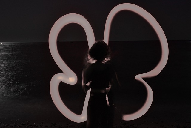 Free Butterfly Light photo and picture