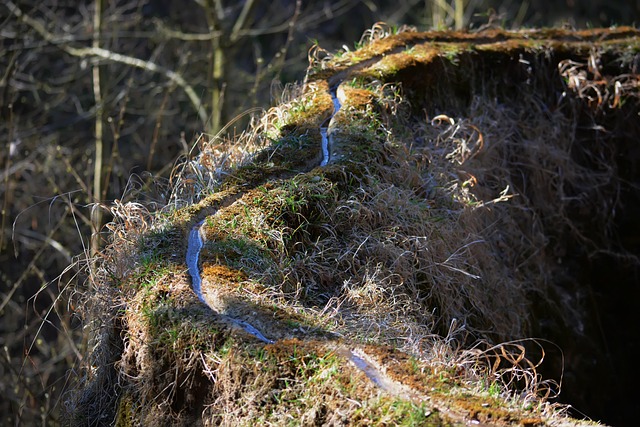 Free Wachsender Felsen Landau An Der Isar photo and picture