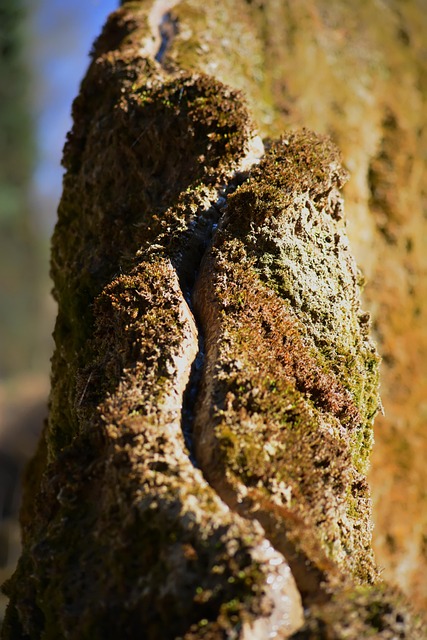 Free Wachsender Felsen Landau An Der Isar photo and picture
