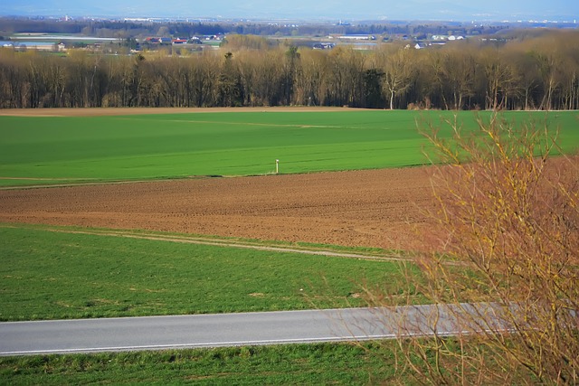 Free Landau An Der Isar Field photo and picture