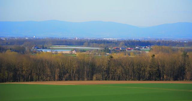 Free Landau An Der Isar Field photo and picture