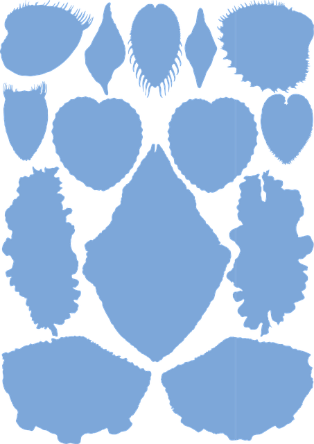 Free shells gastropods silhouette vector