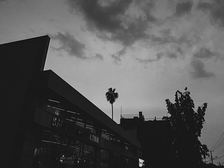 Free Black White Dark photo and picture