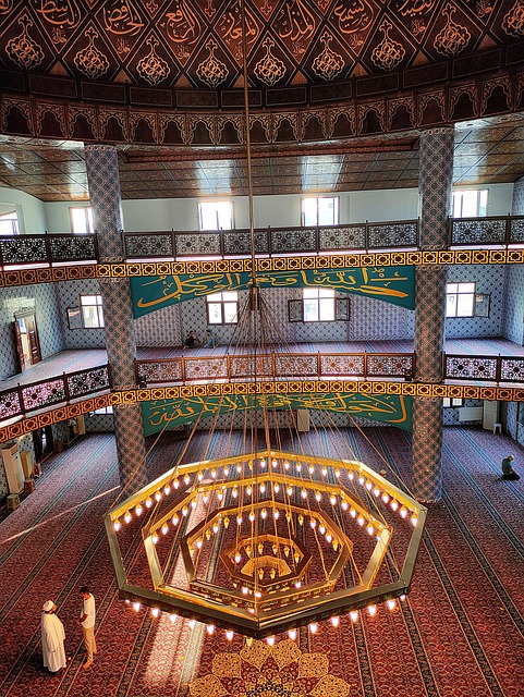 Free Cami Islam photo and picture