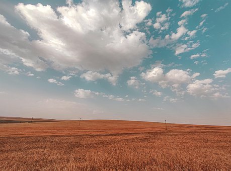 Free Nature View photo and picture