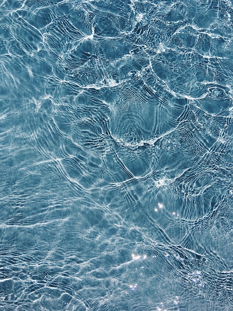 Free Water Surface Sea Surface photo and picture