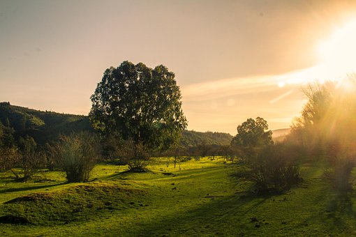 Zonsondergang, Landschap, Schat, Natuur