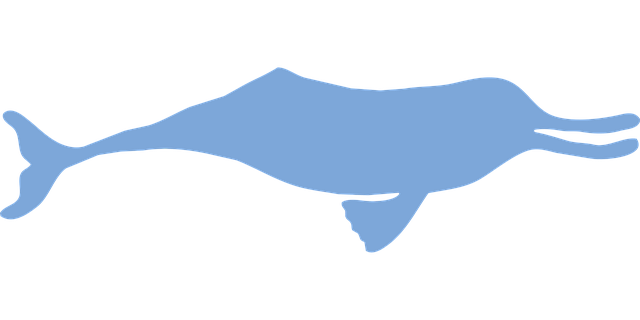 Free ganges river dolphin dolphin silhouette vector