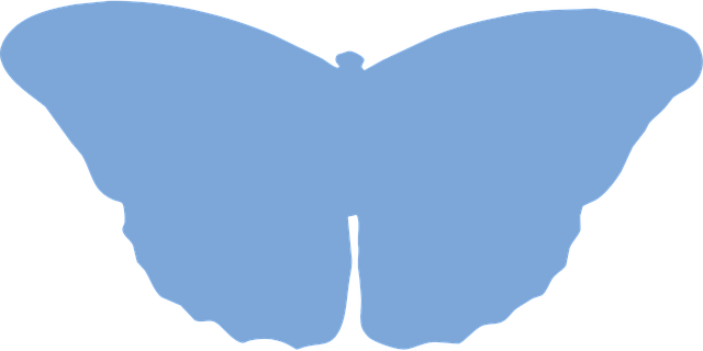 Schmetterling, Insekt, Silhouette