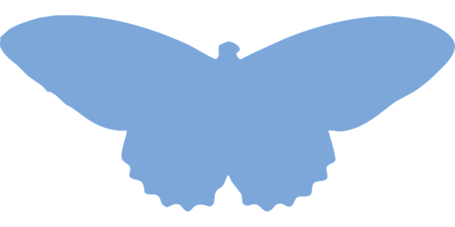 Schmetterling, Insekt, Silhouette