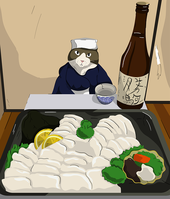 Cat, Kelner, Fisk, Skyld, Japan, Alkohol