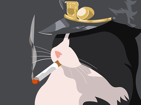 Cat, Cigarrete, Hatt, Katteaktig