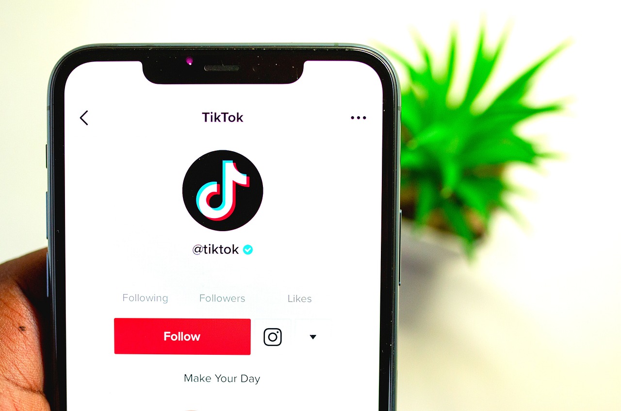 Meer Dan 2 000 Gratis Afbeeldingen Van Tiktok En Sociale Media Pixabay