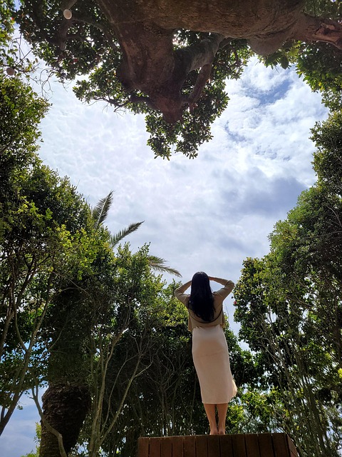 Backward 心 Tree - Pixabayの無料写真 - Pixabay