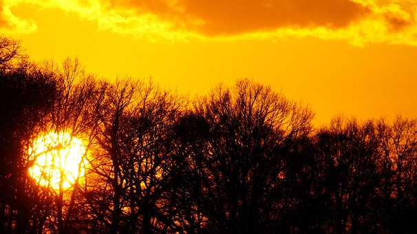 Free Sunset Yellow photo and picture