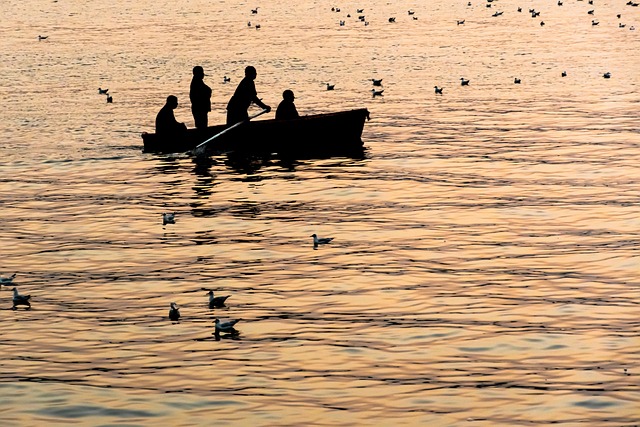 Boot, Fischer, Vögel, Silhouette, Angeln