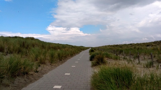 Free Sand Sea photo and picture