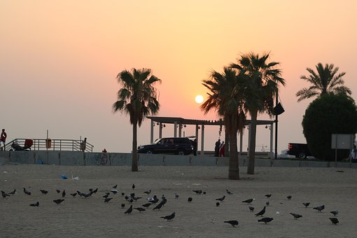 Free Sunrise Coast photo and picture