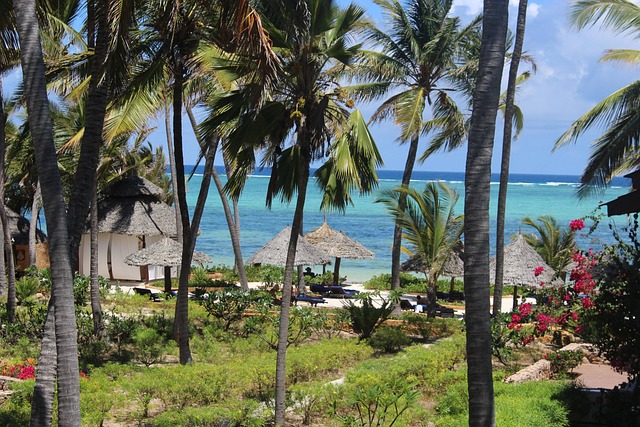 Strand, Erholungsort, Insel, Palmen