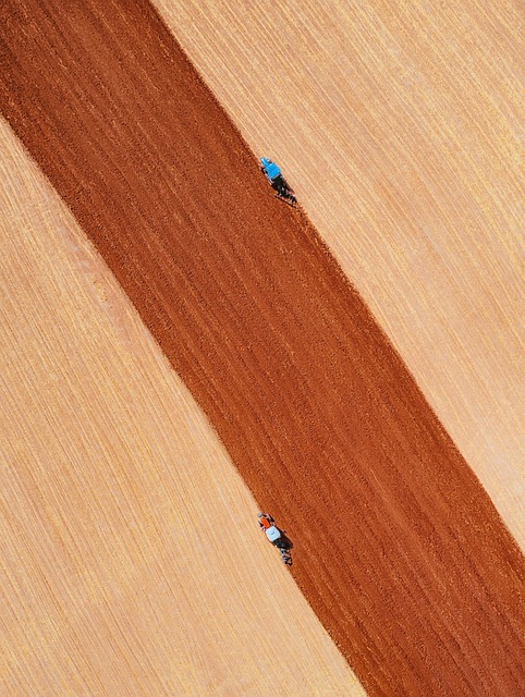 Free Wood Texture photo and picture