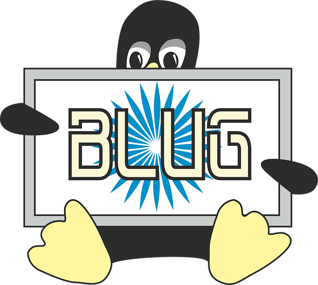 Linux, Bharat, India, Programvare