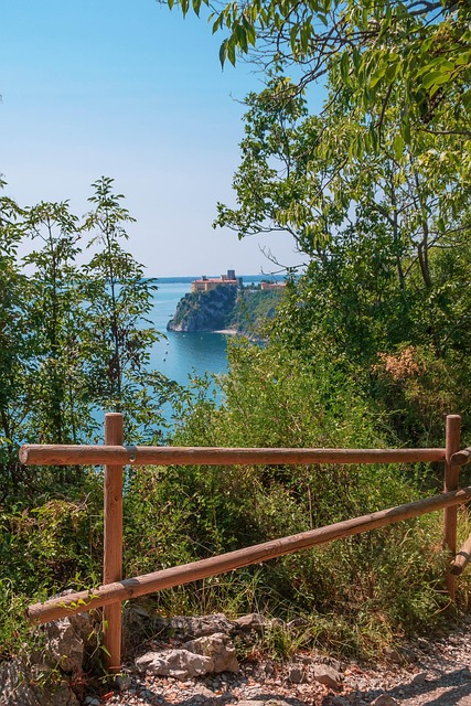 Free Sea Island photo and picture