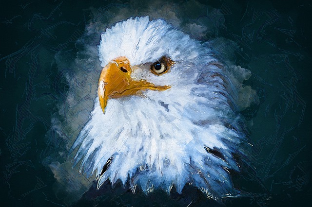Download free HD stock image of Eagle Painting Free eagle painting bald eagle illustration