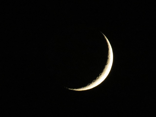 Crescent Free photo on Pixabay Pixabay