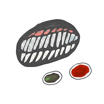 Free Sashimi Episode photo and picture