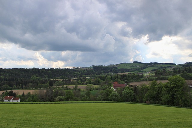 Free Landscape Field photo and picture