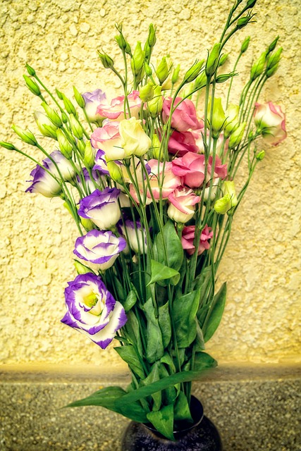 Free Flowers Lilies photo and picture