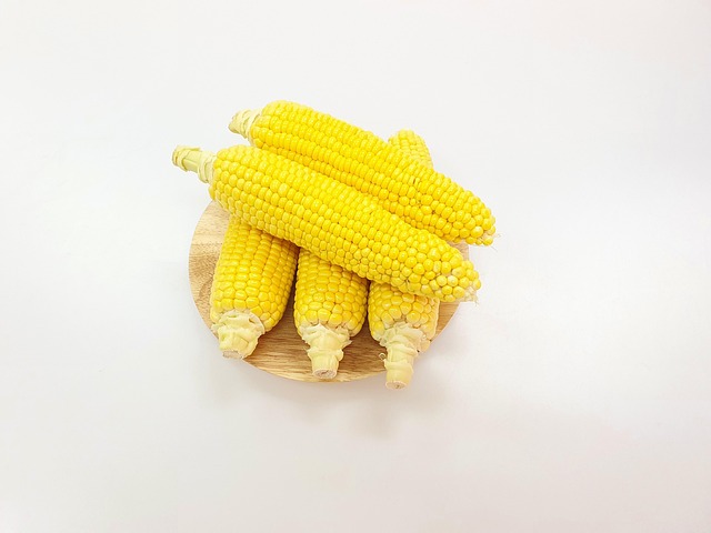 Free Corn Healthy photo and picture