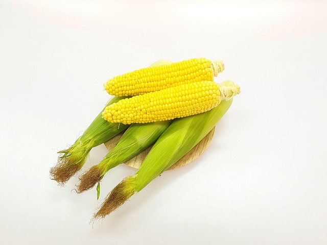 Free Corn Healthy photo and picture