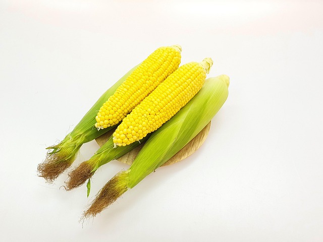 Free Corn Healthy photo and picture