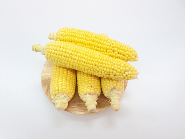 Free Maize Corn photo and picture
