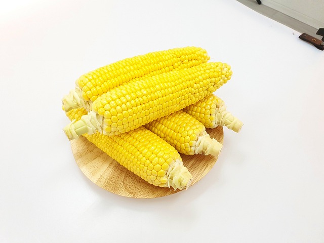 Free Maize Corn photo and picture