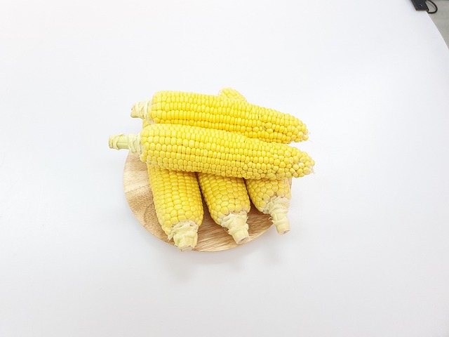 Free Maize Corn photo and picture
