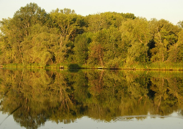 Free Nature Lake photo and picture