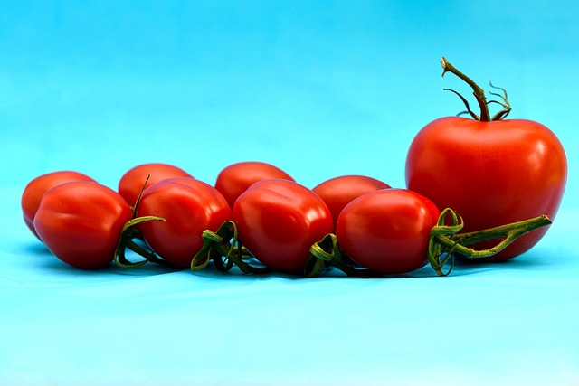 Free Tomatoes Vegetables photo and picture